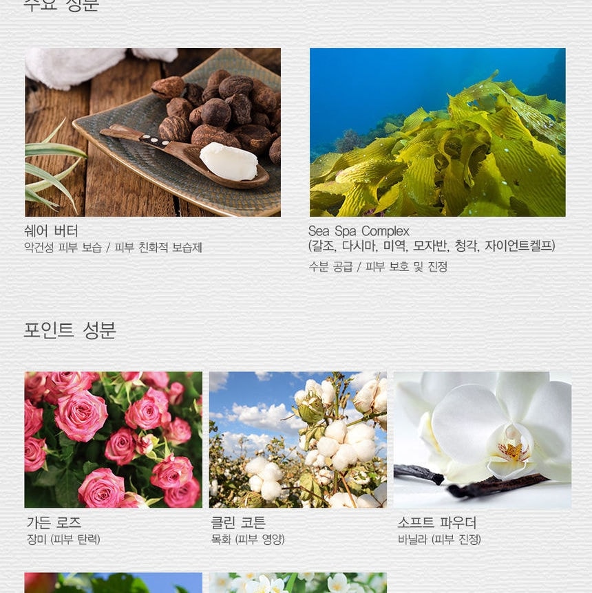 The Saem - Perfumed Hand Shea Butter (Red Plum) 30ml