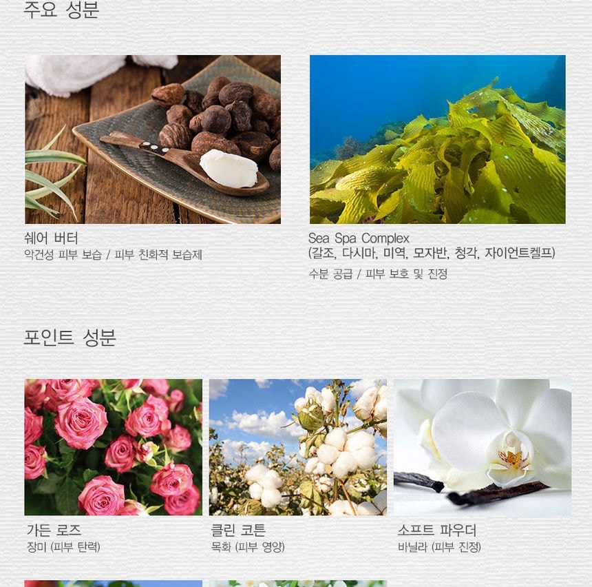 The Saem - Perfumed Hand Shea Butter Soft Powder (30ml)