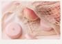 SKINFOOD - Peach Cotton Multi Finish Powder Mini