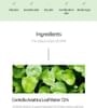iUNIK - Centella Calming Gel Cream 60ml