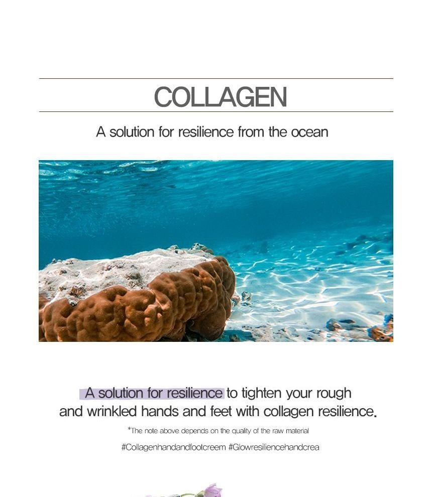 MIZON - Hand & Foot Cream - 3 Types (Collagen)