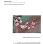 Beauty of Joseon - Apricot Blossom Peeling Gel