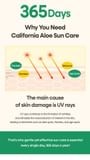 NATURE REPUBLIC - California Aloe Sun Stick - 2 Types