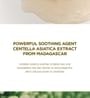 SKIN1004 - Madagascar Centella Watergel Sheet Ampoule Mask Set