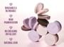 Kaja - Beauty Bento - 13 Types
