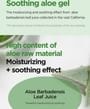 Isntree - Aloe Soothing Gel Moisture Type