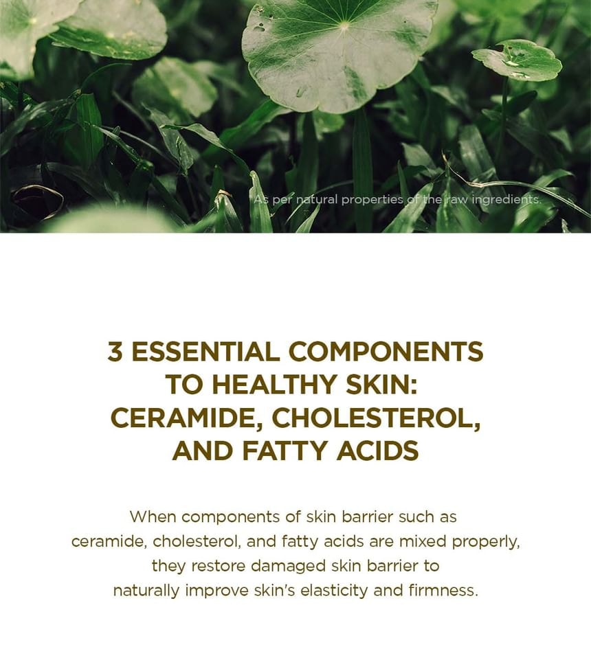 SKIN1004 - Madagascar Centella Soothing Cream