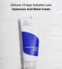 Isntree - Hyaluronic Acid Moist Cream