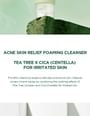 SKIN1004 - Madagascar Centella Tea-trica BHA Foam