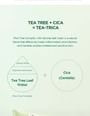 SKIN1004 - Madagascar Centella Tea-trica BHA Foam