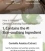mixsoon - Centella Cleansing Foam