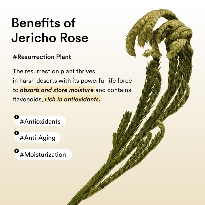 Abib - Collagen Eye Patch Jericho Rose Jelly