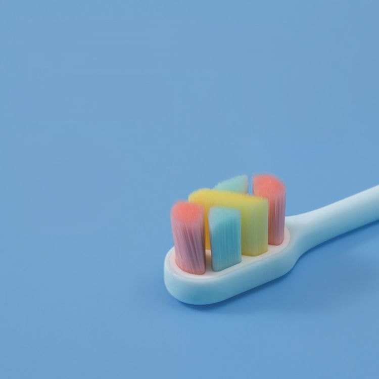 Porcini - Toothbrush (various designs)
