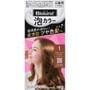 Kao - Blaune Foam Hair Color