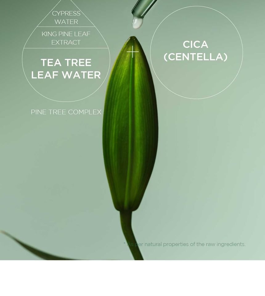 SKIN1004 - Madagascar Centella Tea-Trica Spot Cream