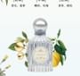 CHEERFLOR - Angel Fantasy Paradise Series Perfume - CFR1181 Fantasia Land