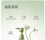 LITTLE DREAM GARDEN - Petal Fragance Body Wash - 2 Types