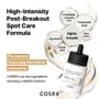 COSRX - The Alpha-Arbutin 2 Discoloration Care Serum