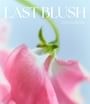 BBIA - Last Blush 2025 Version - 15 Colors