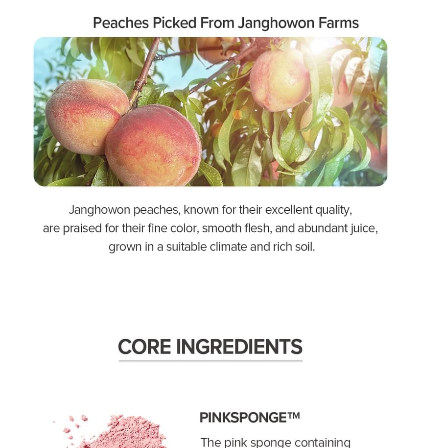 SKINFOOD - Peach Cotton Pore Blur Pact