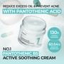 numbuzin - No.1 Pantothenic B5 Active Soothing Cream