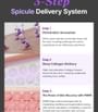 Mary&May - Spicule Collagen PDRN Cream