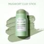SKINTIFIC - Mugwort Acne Clay Stick