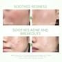 SKINTIFIC - Mugwort Acne Clay Stick