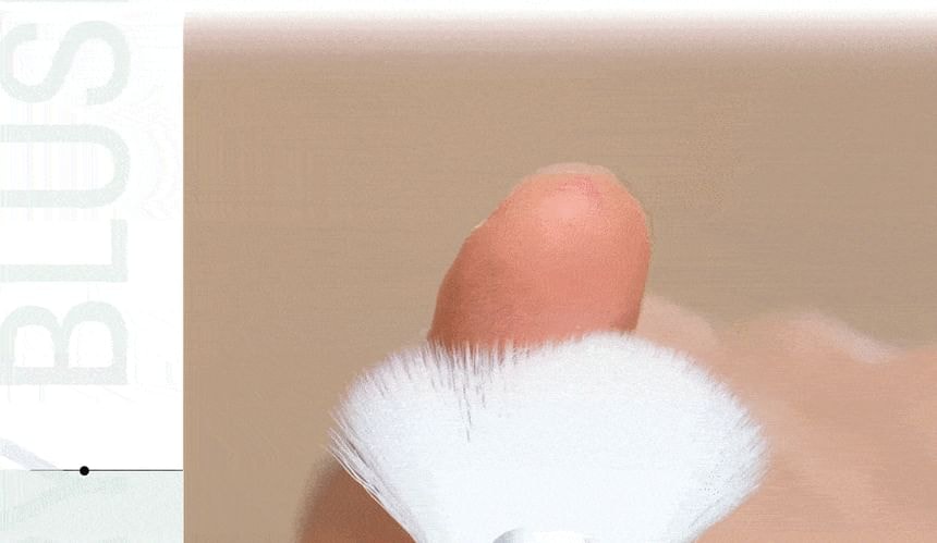 fillimilli - Creamy Blusher Brush 888 Set