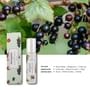 elvis+elvin - Rose & Black Currant Perfume Oil