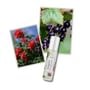 elvis+elvin - Rose & Black Currant Perfume Oil
