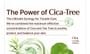 Tage - Cica-Tree Soothing Daily Sun Fluid