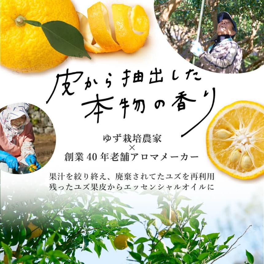 Daily Aroma Japan - Panda Yuzu Hand Cream (75g)