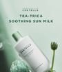 SKIN1004 - Madagascar Centella Tea-Trica Soothing Sun Milk 2pcs Bundle Set