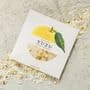 Daily Aroma Japan - Yuzu Fruit Peel Bath Salt