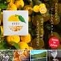 Daily Aroma Japan - Yuzu Fruit Peel Bath Salt