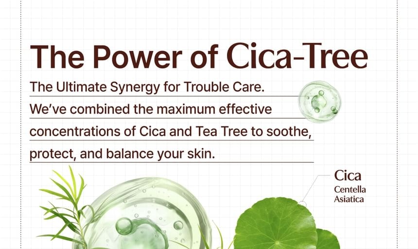 Tage - Cica-Tree Soothing Daily Sun Fluid 2pcs Bundle Set