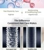 APLB - Daily Solution Hair Oil