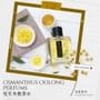 Woopvibes - notonly Tea Brewing Series Perfume