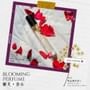 Woopvibes - notonly Collaborative Series Perfume mini 2pcs Bundle Set