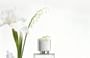 biya - Atmosphere Perception Perfume - 4 Flavors 10pcs Bundle Set