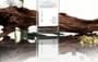 biya - Atmosphere Perception Perfume - 4 Flavors 10pcs Bundle Set