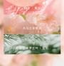 FPF - Peach Rose Eau De Parfum 2pcs Bundle Set
