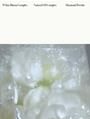 anillO - Gardenia Veil Color Shield Hair Essence Mini