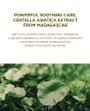 SKIN1004 - Madagascar Centella Air Fit Suncream Light 2pcs Bundle Set