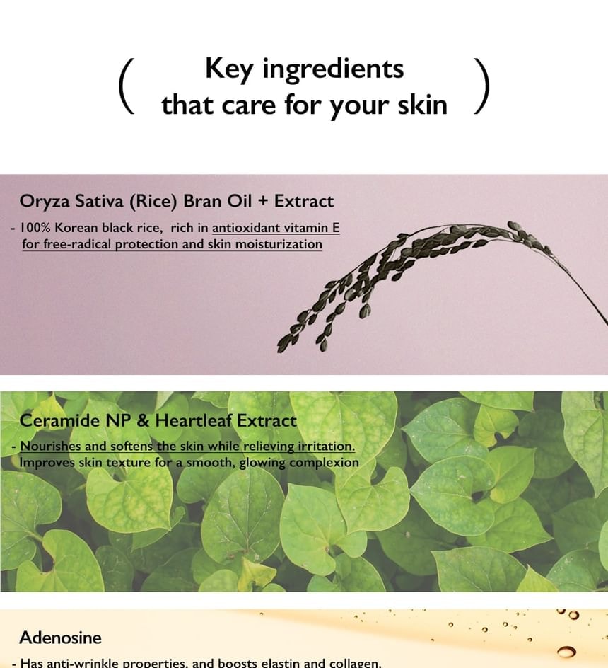 haruharu wonder - Black Rice Moisture Airyfit Sunscreen 2pcs Bundle Set