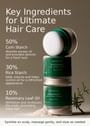 AROMATICA - Rosemary Dry Shampoo Powder