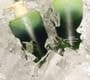 narka - Fresh Cooling Matcha-PDRN Pack Shampoo