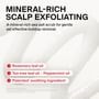 Dr.FORHAIR - Folligen Thickening Sea Salt Scalp Exfoliator Jumbo