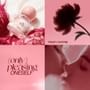 O.TWO.O - Intimate Fragrance Essence - 5 Flavours